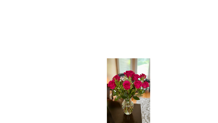 A bouquet of a dozen fresh cherry pink colored roses in a glass vase