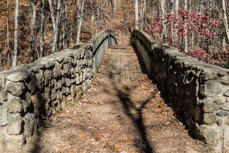 Small curved bridge with stone walls amidst a forest of trees