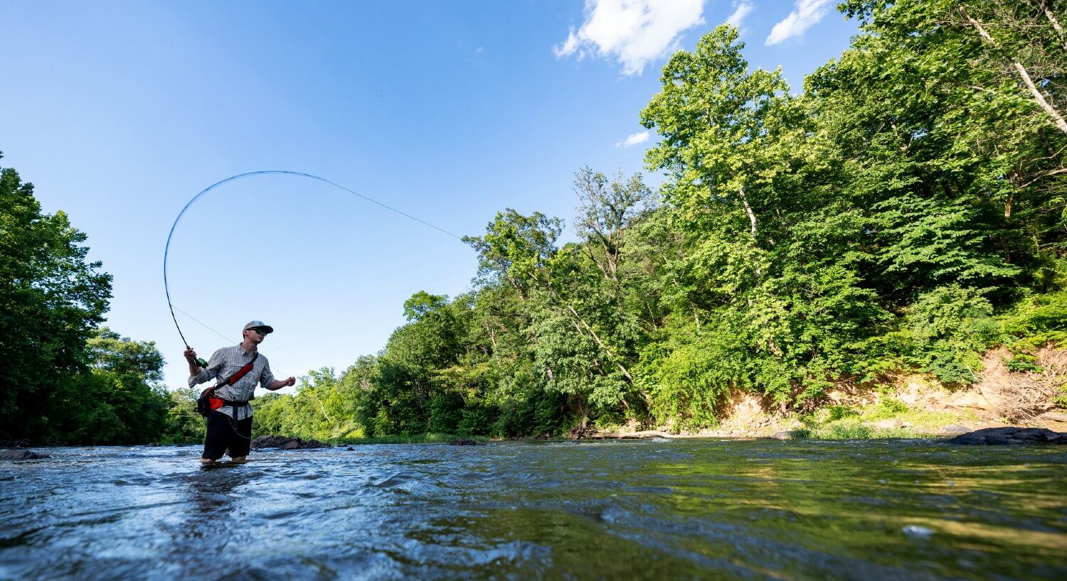 Man in cap fly fishing in a river surrounded by lush green trees and blue skies overhead