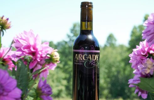 Single bottle of red wine next to bright pink flowers and clear blue sky