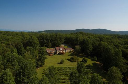 Aerial view of a large home nestled in dense trees with expansive lawn and vineyard