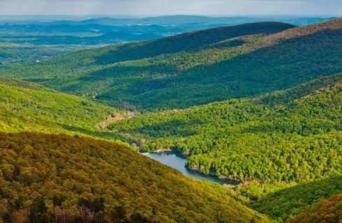 Stunning valley with rolling hills covered in dense trees with small lake at the bottom