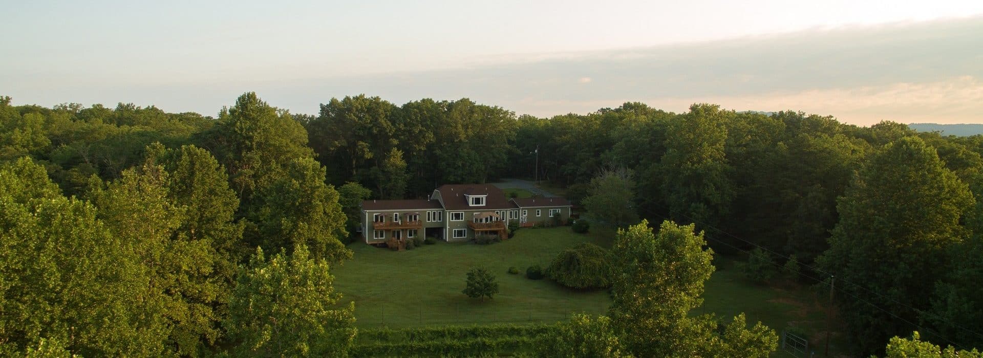 Aerial view of a large home nestled in dense trees with expansive lawn and vineyard