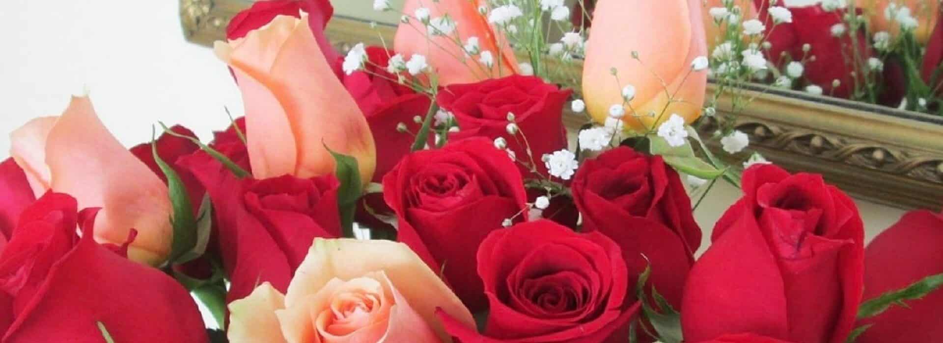 Bouquet of red and pink roses with white baby's breath