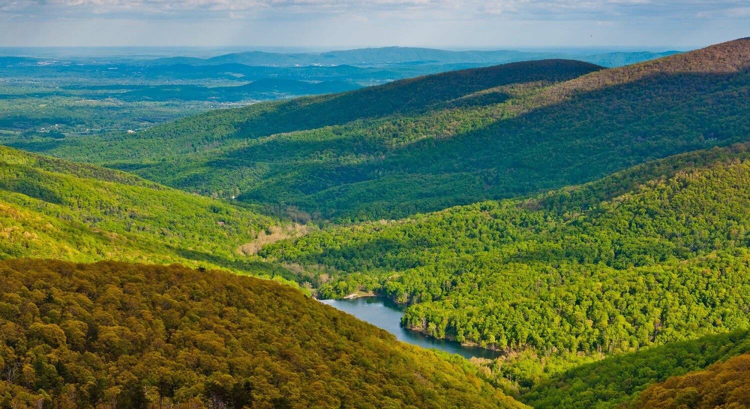 Stunning valley with rolling hills covered in dense trees with small lake at the bottom